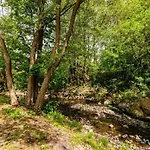 In Nahe Barbarossa Hoehle * Neustadt