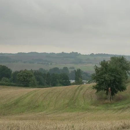 Spacious In Germany With Garden