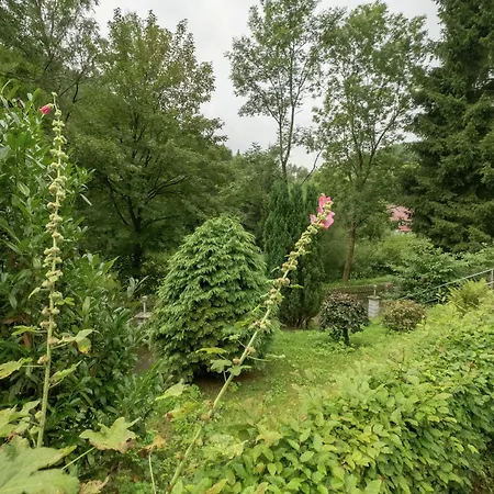 Spacious In Germany With Garden * Neustadt