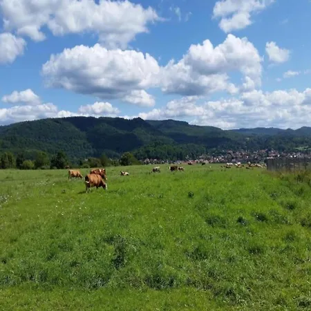 Spacious In Germany With Garden * Neustadt