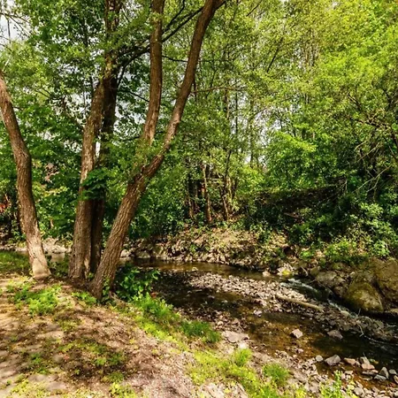 In Nahe Barbarossa Hoehle * Neustadt