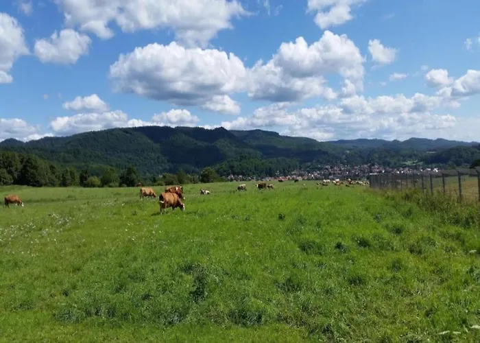 In Nahe Barbarossa Hoehle * Neustadt