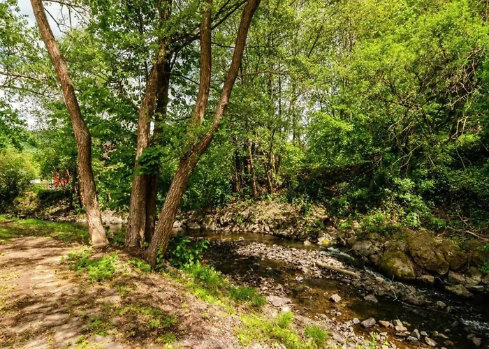 In Nahe Barbarossa Hoehle * Neustadt